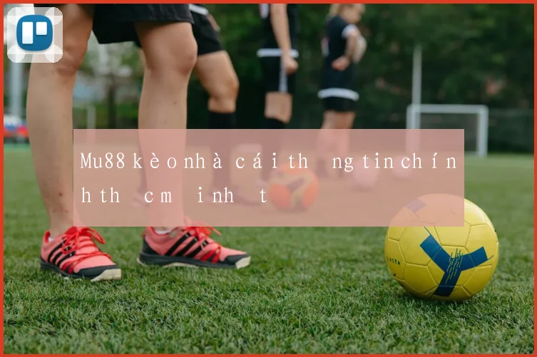 Mu88 kèo nhà cái thông tin chính thức mới nhất