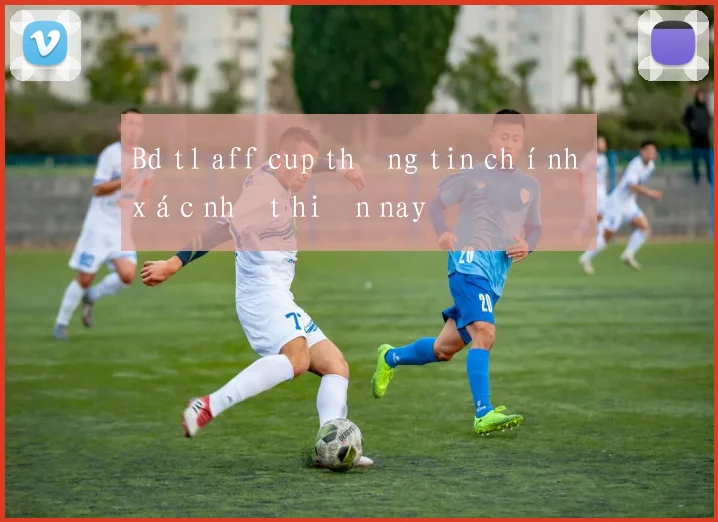 Bd tl aff cup thông tin chính xác nhất hiện nay